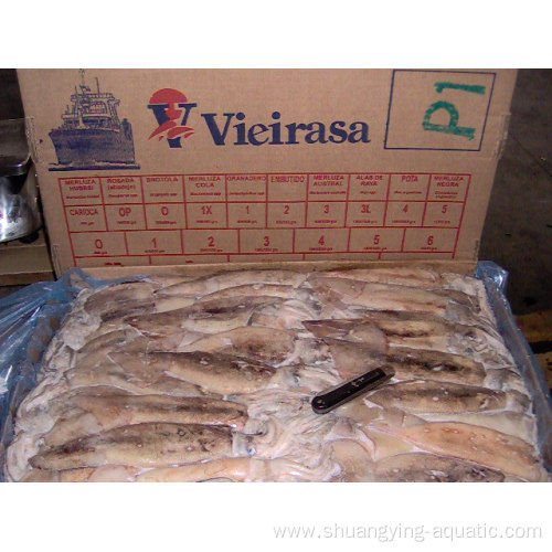 Seafood Frozen Illex Loligo Squid 100-200g 10Glazing
